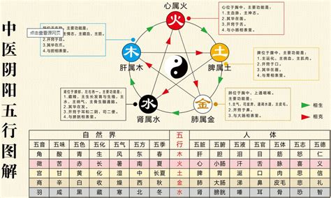 五行歸類表|中醫五行:基本概念,五行屬性及歸類,五行屬性歸類,五行。